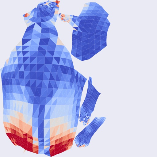 Per-face Angular Distortion