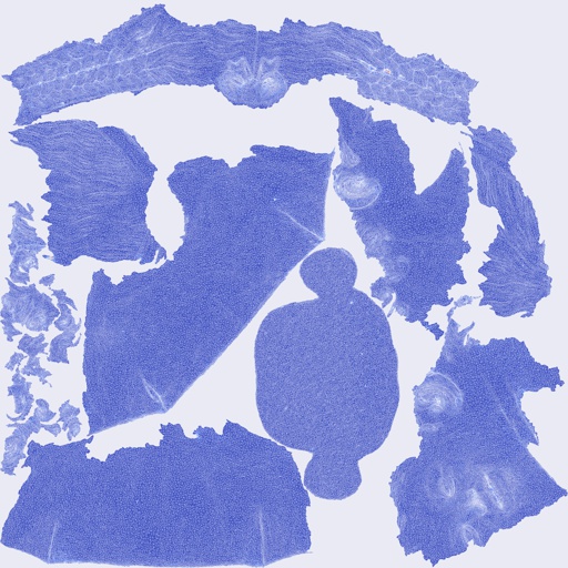 Per-face Angular Distortion