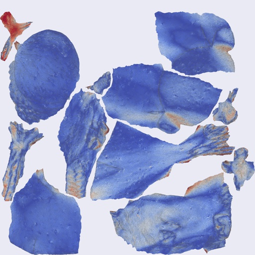 Per-face Area Distortion