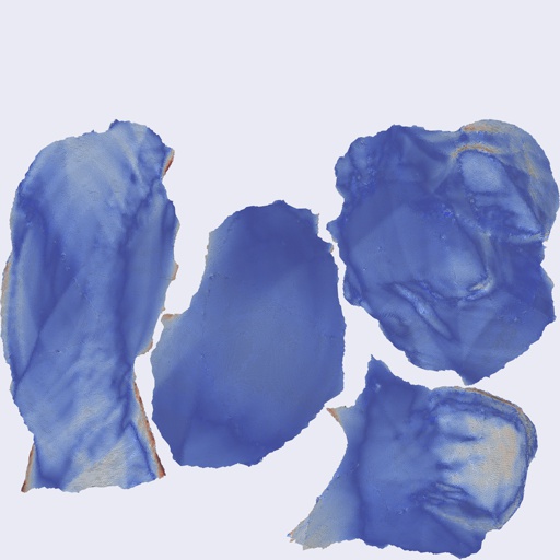 Per-face Area Distortion