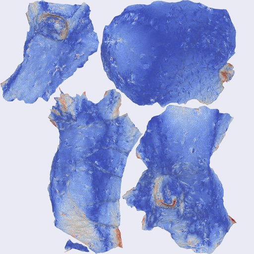 Per-face Area Distortion